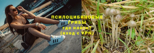ПСИЛОЦИБИНОВЫЕ ГРИБЫ Зеленодольск