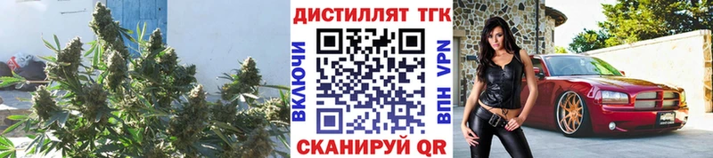 купить наркотики сайты  Камышлов  Дистиллят ТГК концентрат 