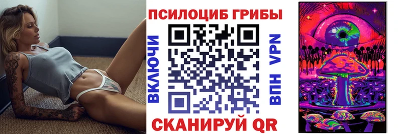 даркнет сайт  Камышлов  Галлюциногенные грибы Psilocybine cubensis 