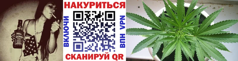 Бошки Шишки THC 21%  продажа наркотиков  Камышлов 